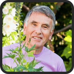 Alpha Stream Plus Real Review